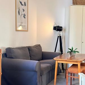 Standard Studio